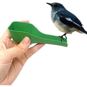 4pcs Green Bird Feeder Spoon Plastic Parrot Feeding Scoops Hand Food Feeding Tableware Birds Feeding and Watering Supplies