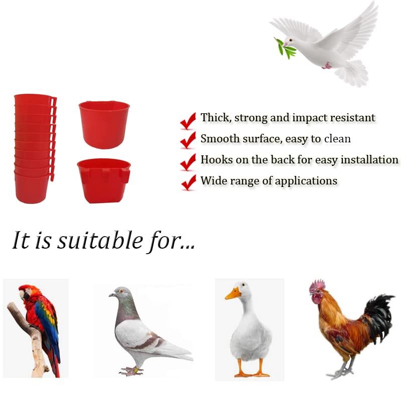 10pcs Feeder Cage Cups Hanging Chicken Water Cups Pet Bowl with Hooks Rabbit Food Dish for Cages Plastic Feeding & Watering Supplies for Pigeon Poultry Roosters Gamefowl Parakeet