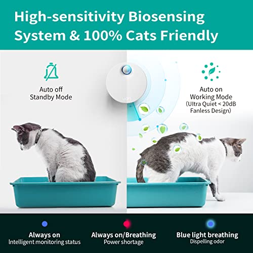 uahpet Cat Litter Deodorizer Litter Box Odor Eliminator 99.9% Dust-Free for All Kinds of Cat Litter Box Bathroom Wardrobe Kitchen and Small Area（ 80% Deodorization /99% Deodorization)