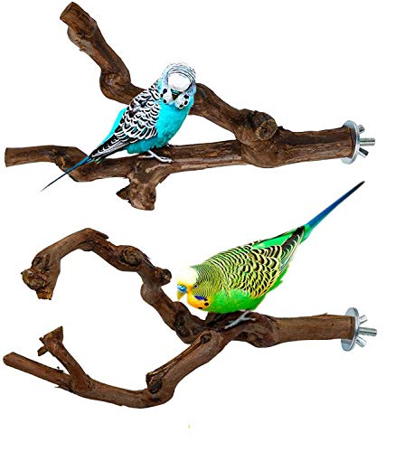 OCHSTIN Parrot Perch Stands Birds Stand Pole Natural Wild Grape Stick Grinding Paw Climbing Standing Cage Accessories Toy Branches for Parakeet, Budgies, Lovebirds