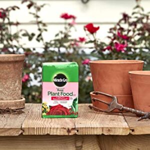 Miracle-Gro VB02199 Plant Food Water Soluble Rose, 1.5 lb,