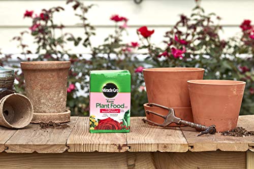 Miracle-Gro VB02199 Plant Food Water Soluble Rose, 1.5 lb,