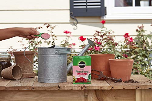 Miracle-Gro VB02199 Plant Food Water Soluble Rose, 1.5 lb,