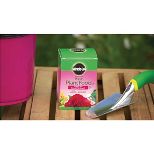 Miracle-Gro VB02199 Plant Food Water Soluble Rose, 1.5 lb,