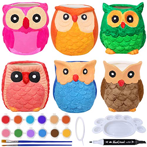 6 Sets DIY Ceramic Owl Succulent Pots Figurines Paint Craft Kit Unpainted Ceramic Bisque Paintable Owl Ceramic Flowerpots with Drainage Hole Ready to Paint for Kids Classroom Craft Project Acticity