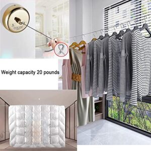 304 Stainless Steel Clothesline, Hotel Balcony Indoor Invisible Clothesline, Retractable Drying Rack (1 Set of Gold)
