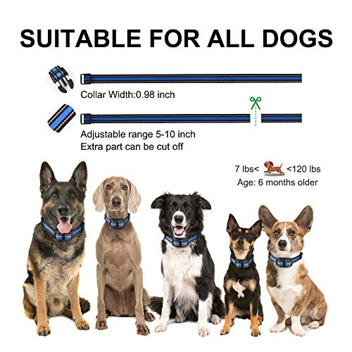 Bark Collar MODUS Dog Bark Collar Rechargeable Shock Anti Bark Collar with Beep Vibration Dog Shock Collar for Small Medium Large Dogs, Humane Dog Training Device with 5 Adjustable Sensitivity Levels