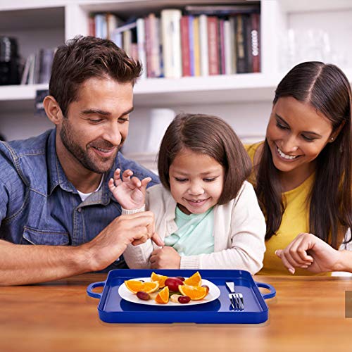 i BKGOO Foodservice Royal Blue Plastic Tray with Handle Set of 2 Large Melamine Cube Serving Platters for Parties, Table, Kitchen Size(12.5"x12.5"x1")