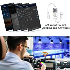 Lominie WiFi Controller Aquarium Light with 5-pin Connector Timer for Upgraded Asta 20 Pixie 30 Asta 120 Pixie 80 Saltwater Aquarium Light (4 Channels)