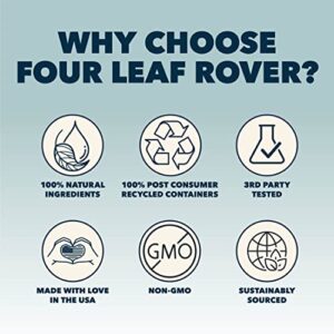 Four Leaf Rover: Seven 'Shrooms- Immune Supporting Organic Mushroom Complex for Dogs - 15 to 60 Day Supply, Depending on Dog’s Weight - Rich in Beta Glucans - Grown on Wood - Vet Formulated