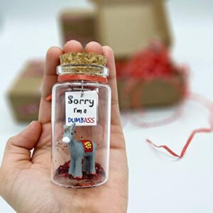 apology gift for her or him i'm sorry funny gag gift for girlfriend or boyfriend miniature in a bottle. unique (regretful)