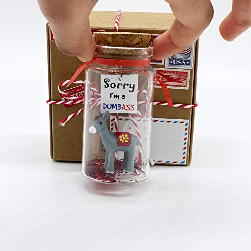 Apology Gift for Her or Him I'm Sorry Funny Gag Gift for Girlfriend or Boyfriend Miniature in a Bottle. Unique (Regretful)