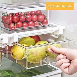 HOMEREFORM Pull-out Refrigerator Organizer Bins - Fridge Drawer Organizer with Handle, Refrigerator Shelf Holder Storage Box for Food Drinks, Fit for Fridge Shelf Under 0.6"