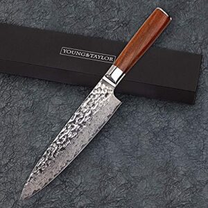 young&taylor 8 inch professional chef knife,67 layers japanese vg-10 damascus steel with hammered finished (premium rosewood handle)
