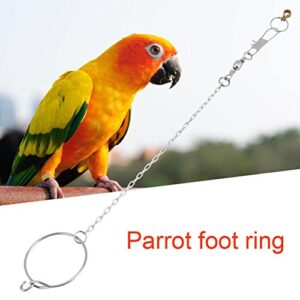 Bird Anklet Chain Parrot Foot Ring Stainless Steel Bird Leash Parrot Opening Activity Ring Bird Stand Anklet Pet Bird Supplies for Nyasa Lovebird Cockatiel Cockatoo Sun Conure Monk Parakeet(5.5mm)