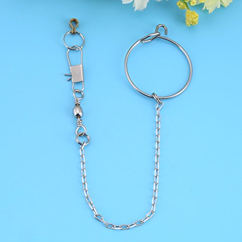 Bird Anklet Chain Parrot Foot Ring Stainless Steel Bird Leash Parrot Opening Activity Ring Bird Stand Anklet Pet Bird Supplies for Nyasa Lovebird Cockatiel Cockatoo Sun Conure Monk Parakeet(5.5mm)