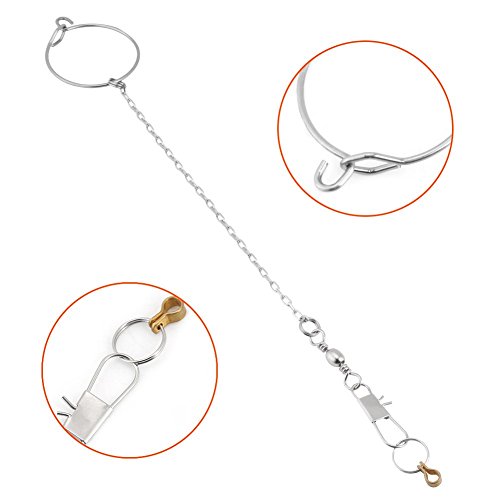 Bird Anklet Chain Parrot Foot Ring Stainless Steel Bird Leash Parrot Opening Activity Ring Bird Stand Anklet Pet Bird Supplies for Nyasa Lovebird Cockatiel Cockatoo Sun Conure Monk Parakeet(5.5mm)