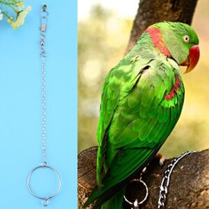 Bird Anklet Chain Parrot Foot Ring Stainless Steel Bird Leash Parrot Opening Activity Ring Bird Stand Anklet Pet Bird Supplies for Nyasa Lovebird Cockatiel Cockatoo Sun Conure Monk Parakeet(5.5mm)