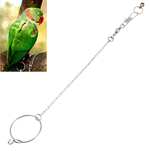 Bird Anklet Chain Parrot Foot Ring Stainless Steel Bird Leash Parrot Opening Activity Ring Bird Stand Anklet Pet Bird Supplies for Nyasa Lovebird Cockatiel Cockatoo Sun Conure Monk Parakeet(5.5mm)