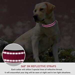 Reflective Dog Collar with Buckle Adjustable Safety Nylon Collars for Small Medium Large Dogs, Hotpink S