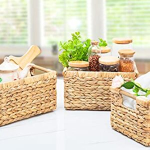 Natural Water Hyacinth storage basket with Handle, Rectangular Wicker Basket for Organizing, Decorative Wicker Storage Basket for Living Room, Medium Wicker Basket 12.2 x 8.9 x 6.9 inches