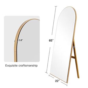 CASSILANDO Full Length Mirror 65"×22" Floor Mirror, Standing Mirror Smooth Arched Top Mirror, Large Arched Mirror, Bedroom Living Room Wall Mirror