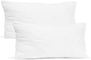 empyrean bedding throw pillow - 12 x 18 inches decorative pillow insert - cotton blend outer shell indoor & outdoor pillows (pack of 2, white)