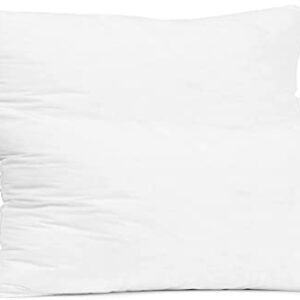 Empyrean Bedding Throw Pillow - 12 x 18 Inches Decorative Pillow Insert - Cotton Blend Outer Shell Indoor & Outdoor Pillows (Pack of 2, White)