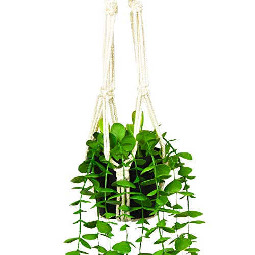 Artflower Artificial Hanging Eucalyptus Plants in Pots 2 Pack Fake Plastic Greenery Vines with Hanging Baskets for Home Shelve Indoor Outdoor Wall Wedding Garden Home Office Garland Decor