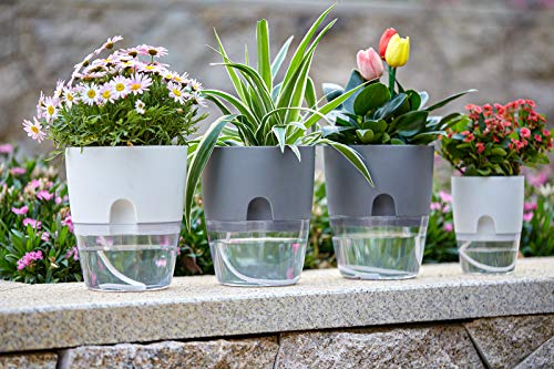 ETGLCOZY 6/4.1/3.2 Inch Self Watering Planter Pots, 5 Pack African Violet Pots for Indoor Outdoor Windowsill Gardens, Self Aerating, High Drainage, Deep Reservoir(Gray)