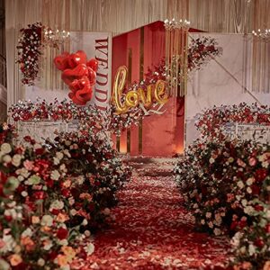 huaao 3000pcs Red Rose Petals for Romantic Night for Bedroom,10pcs Red Heart Balloons 1pcs Love Valentines Day Balloons Anniversary Birthday Honeymoon Wedding Flower Party Supplies DIY Decorations for bedroom