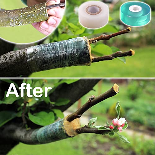 MIDOUWEST 4 Pcs Parafin Grafting Tape for Fruit Trees,Garden Plant Nursery Tape Stretchable Self Adhesive Membrane Clear Floristry Film,Plant Repair Budding Tape