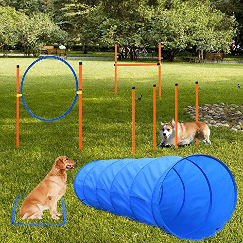 XiaZ Dog Agility Equipments, Obstacle Courses Training Starter Kit, Pet Outdoor Games for Backyard Includes Dog Tunnel, Jumping Ring, High Jumps, 4 Pcs Weave Poles, Pause Box with Carrying Case