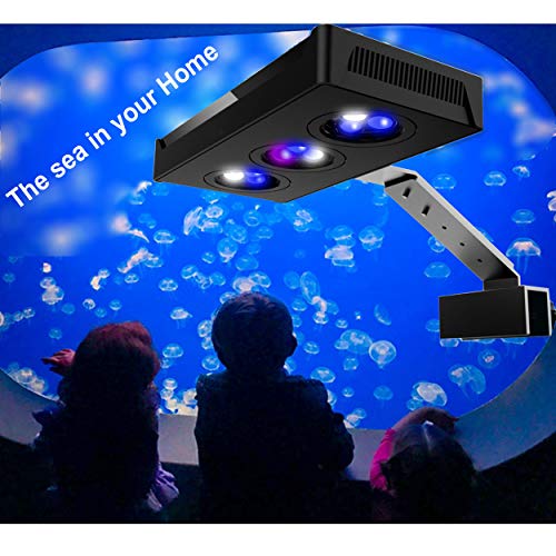 Corals Chat Aquarium Reef LED Light,30W Cree Spectrum Marine Saltwater Coral LED Light Lamp with Touch Control for Nano Tank