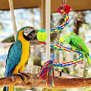 Bird Toys Parrot Toys - 9Pcs Parrot Swing Chewing Toys Cockatiels, Macaws, Parrots, Love Birds, Finches Parakeet Toys Bird Cage Accessories