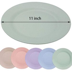 LuckyZone 11inch/5pcs Wheat Straw Plates - Reusable & Unbreakable Plate - Dishwasher & Microwave Safe - Perfect for Dinner Dishes - Healthy, Lightweight, BPA Free & Eco-Friendly (5 colors)