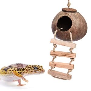 gecko coconut husk hut, bird hut nesting house hideouts with ladder, coco texture provide food, durable cave habitat with hanging loop for leopard gecko, reptiles, amphibians and small animals