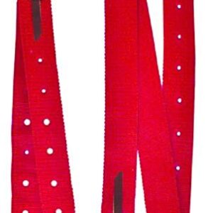 Showman Premium Quality Nylon Off Billet and Tie Strap Set. 2ply Premium Webbed Nylon (Red)