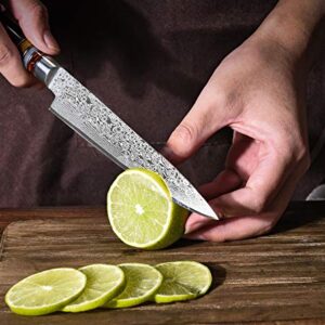 Utility Chef Knife 6 Inch Chef knife Japanese Damascus Utility Kitchen Knife Japanese Paring Knife Damascus Steel High Carbon 67-Layer Ultra Sharp Kitchen Meat Cutting Gyuto Chef Knife [Gift Box]