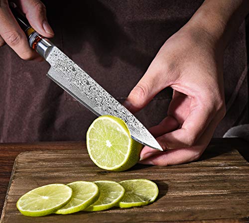 Utility Chef Knife 6 Inch Chef knife Japanese Damascus Utility Kitchen Knife Japanese Paring Knife Damascus Steel High Carbon 67-Layer Ultra Sharp Kitchen Meat Cutting Gyuto Chef Knife [Gift Box]