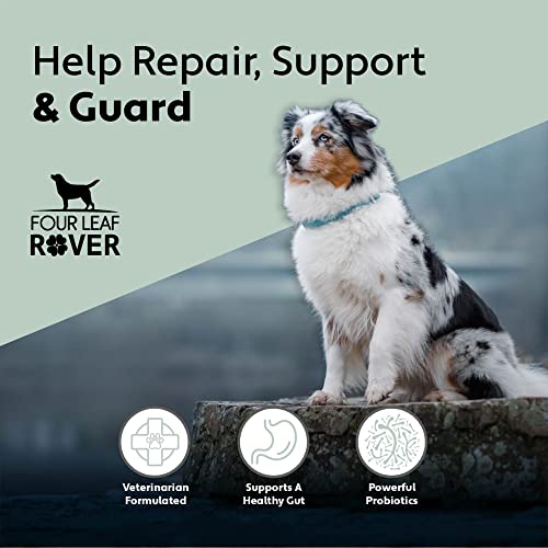 Four Leaf Rover: Gut Guard - Dog Probiotics, Prebiotics and Organic Herbs for Gut Health and Immune Support - 15 to 60 Day Supply, Depending on Dog’s Weight - Vet Formulated