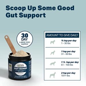 Four Leaf Rover: Gut Guard - Dog Probiotics, Prebiotics and Organic Herbs for Gut Health and Immune Support - 15 to 60 Day Supply, Depending on Dog’s Weight - Vet Formulated