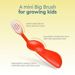 RADIUS Kidz Toothbrush Children's Right Hand BPA Free ADA Accepted Designed to Clean Teeth & Gums for Children 6 Years & Up - Green Blue Orange - Pack of 3