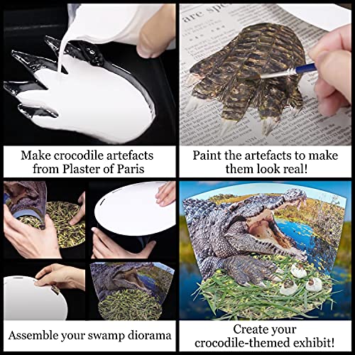 WILD ENVIRONMENTAL SCIENCE Extreme Crocodiles of the World - For Ages 6+ - Create and Customize Models and Dioramas - Study the Most Extreme Animals