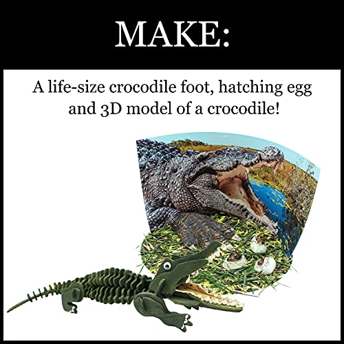 WILD ENVIRONMENTAL SCIENCE Extreme Crocodiles of the World - For Ages 6+ - Create and Customize Models and Dioramas - Study the Most Extreme Animals