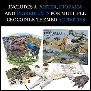 WILD ENVIRONMENTAL SCIENCE Extreme Crocodiles of the World - For Ages 6+ - Create and Customize Models and Dioramas - Study the Most Extreme Animals