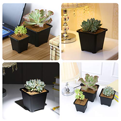 GOETOR Pastic Nursery Pots Square Plant Pot 100 Pcs Durable Balck Starter Container for Starting Seedlings or Succulents (2.2 Inch)