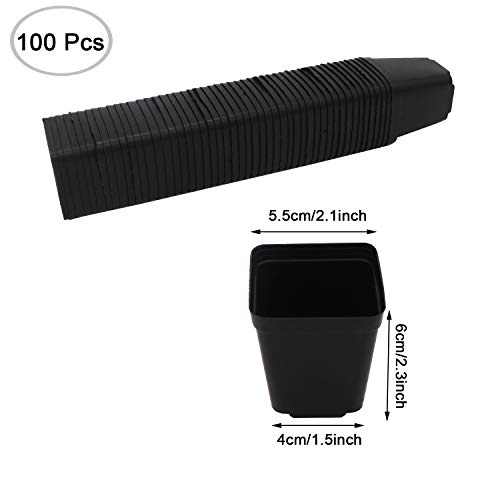 GOETOR Pastic Nursery Pots Square Plant Pot 100 Pcs Durable Balck Starter Container for Starting Seedlings or Succulents (2.2 Inch)