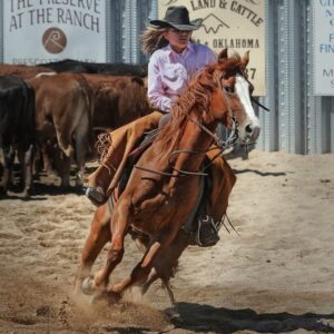 DOUBLE ACTION (Cooling and Warming Effect) Liniment Gel for Sore Muscles and Joints made with Camphor and Menthol for Horses. Effective Post Workout Recovery and Pre-Workout Leg and Spinal Care Rub