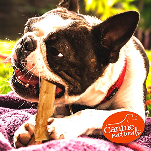 Canine Naturals Beef Chew - Rawhide Free Dog Treats - Made with Real Beef - Poultry Free Recipe - All-Natural and Easily Digestible - 40 Pack of 5 Inch Stick Chews